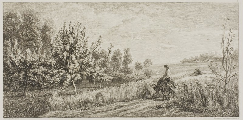 Spring, 1857, Charles François Daubigny, French, 1817-1878, France, Etching and drypoint on light gray chine laid down on white wove paper, 119 × 245 mm (image), 166 × 266 mm (plate), 302 × 441 mm (sheet)