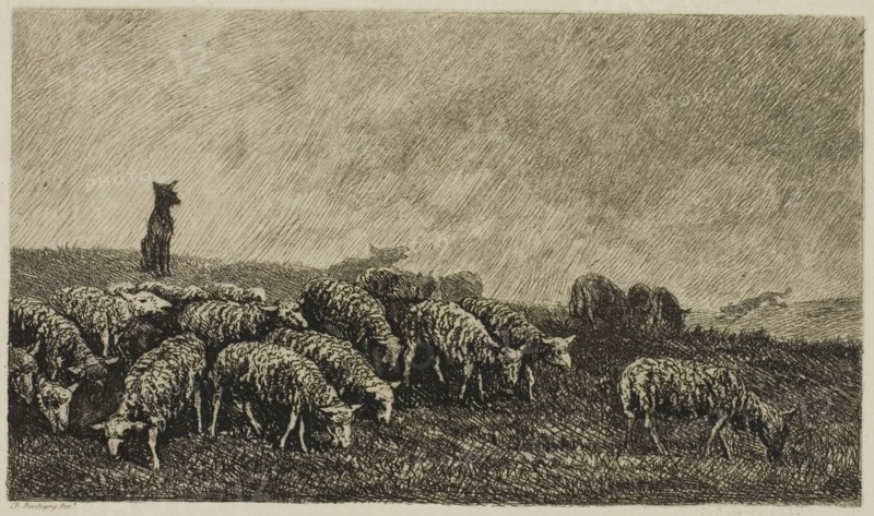The Dog’s Watch, 1857, Charles François Daubigny, French, 1817-1878, France, Etching on cream Japanese paper, 263 × 395 mm (image), 112 × 172 mm (plate), 263 × 395 mm (sheet)