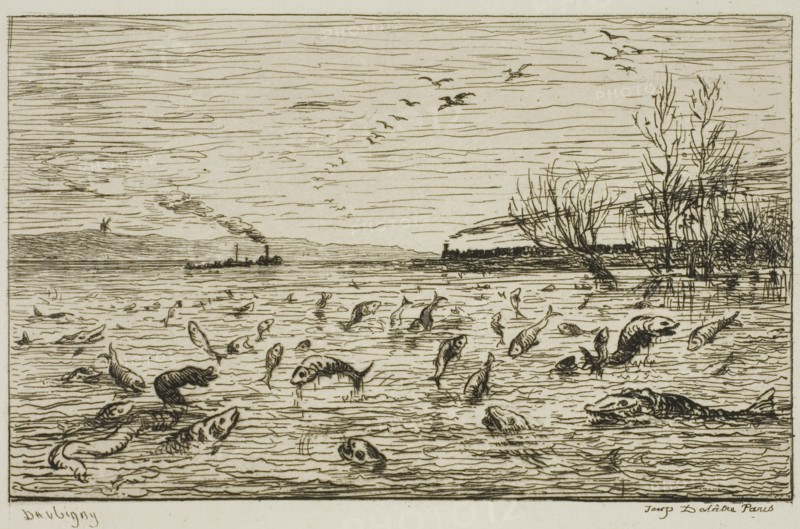 Celebration of the Fish on the Departure of the Ship’s Boy (The Fish), 1861, Charles François Daubigny, French, 1817-1878, France, Etching on ivory laid paper, 98 × 159 mm (image), 145 × 200 mm (plate), 227 × 305 mm (sheet)