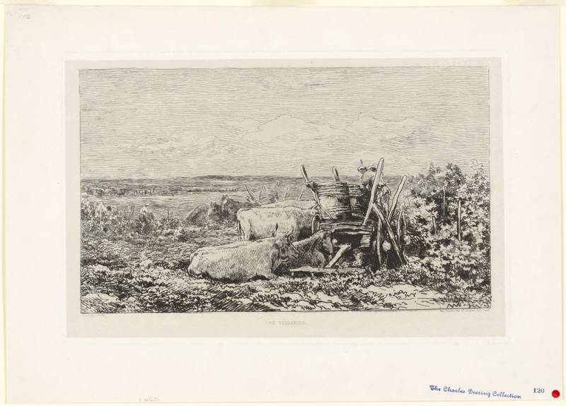The Vintage (Souvenir of the Morvan), 1865, Charles François Daubigny, French, 1817-1878, France, Etching and drypoint on light gray chine laid down on white wove paper, 197 × 336 mm (image), 239 × 367 mm (plate), 323 × 454 mm (sheet)