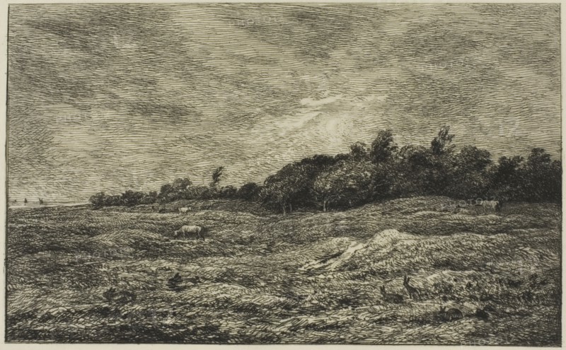Le Pré des Graves à Villerville (Calvados), 1875, Charles François Daubigny, French, 1817-1878, France, Etching and drypoint on cream Japanese paper, 127 × 206 mm (image), 162 × 243 mm (plate), 249 × 361 mm (sheet)