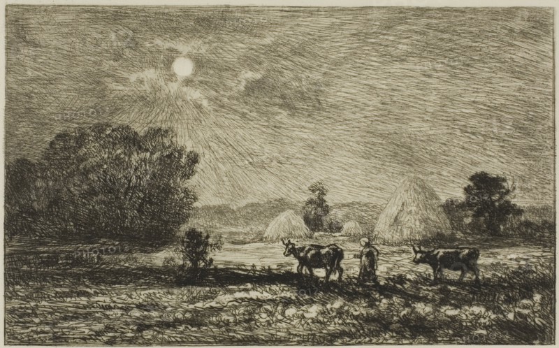Moonlight at Valmondois, 1877, Charles François Daubigny, French, 1817-1878, France, Etching and drypoint on ivory Japanese paper, 136 × 220 mm (image), 170 × 241 mm (plate), 285 × 432 mm (sheet)