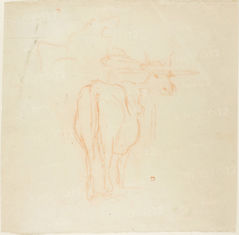 Standing Cattle, n.d., Charles François Daubigny, French, 1817-1878, France, Red chalk on tan laid paper, 292 × 291 mm