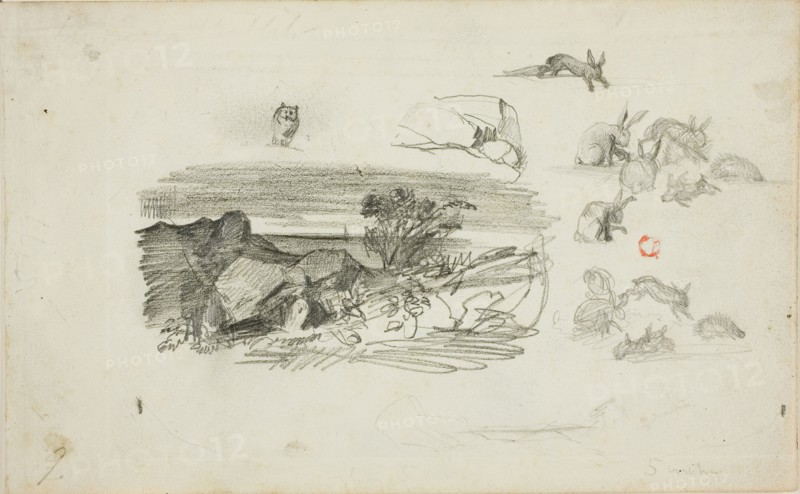 Sketches: Rocky Setting and Rabbits, n.d., Charles François Daubigny, French, 1817-1878, France, Graphite on ivory wove paper, 118 × 191 mm
