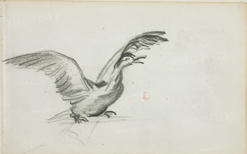 Wild Duet (recto), Two Standing Nude Female Figures in Niches (verso), 1837/78, Charles François Daubigny, French, 1817-1878, France, Graphite (recto), and red crayon (verso), on ivory wove paper, 102 × 165 mm