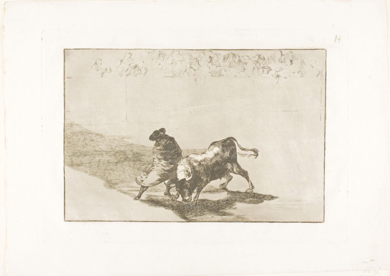 The Very Skilful Student of Falces, Wrapped in his Cape, Tricks the Bull with the Play of his Body, plate 14 from The Art of Bullfighting, 1814/16, published 1816, Francisco José de Goya y Lucientes, Spanish, 1746-1828, Spain, Etching, aquatint, drypoint and burin on ivory laid paper, 201 x 305 mm (image), 248 x 355 mm (plate), 322 x 446 mm (sheet)