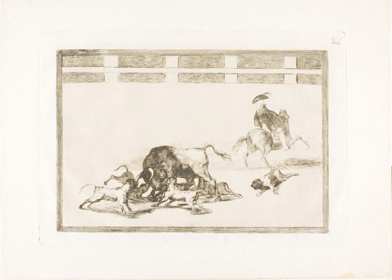 They Loose Dogs on the Bull, plate 25 from The Art of Bullfighting, 1814/16, published 1816, Francisco José de Goya y Lucientes, Spanish, 1746-1828, Spain, Etching, burnished aquatint and drypoint on ivory laid paper, 210 x 311 mm (image), 245 x 354 mm (plate), 321 x 445 mm (sheet)