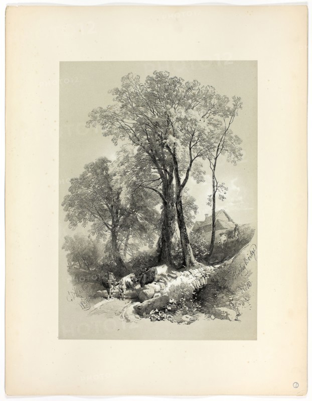 Shipley Bridge, Devon, from Picturesque Selections, 1859, James Duffield Harding, (English, 1798-1863), Published by W. Kent and Co., England, Lithograph on paper, 400 × 285 mm (primary support), 560 × 430 mm (secondary support)