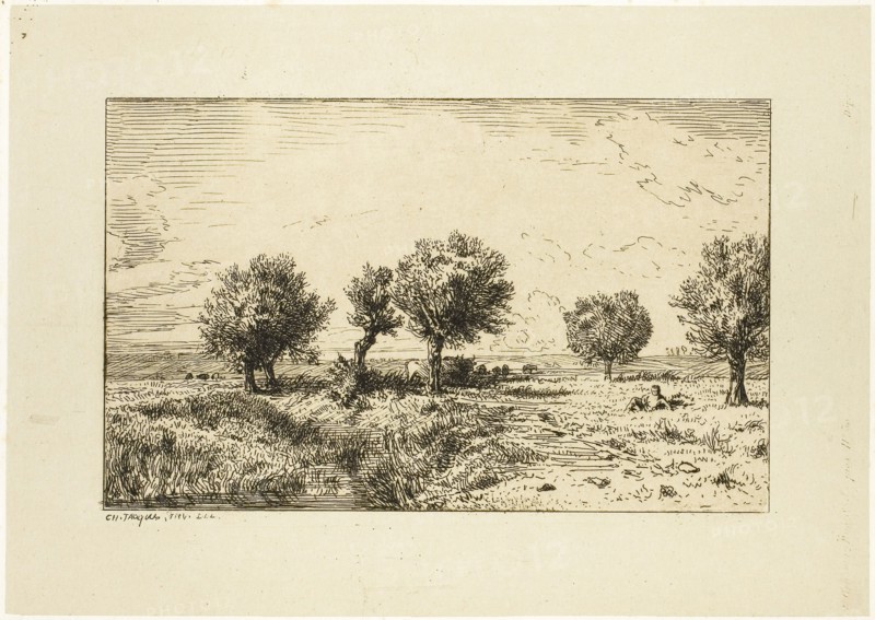 Willows in a Landscape, 1844, Charles Émile Jacque, French, 1813-1894, France, Etching on light gray China paper laid down on ivory wove paper, 76 × 124 mm (image), 114 × 160 mm (chine), 120 × 166 mm (plate), 242 × 321 mm (sheet)