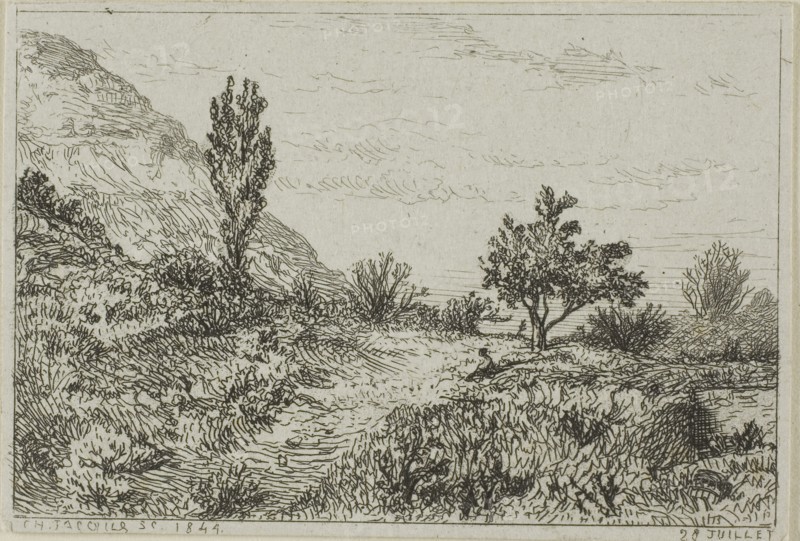 Landscape, 1844, Charles Émile Jacque, French, 1813-1894, France, Etching on ivory wove paper, 49 × 72 mm