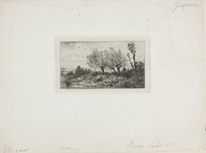 Landscape, Willow Trees, c. 1845, Charles Émile Jacque, French, 1813-1894, France, Etching on light gray China paper laid down on ivory wove paper, 74 × 133 mm (image), 85 × 149 mm (chine), 88 × 150 mm (plate), 240 × 323 mm (sheet)