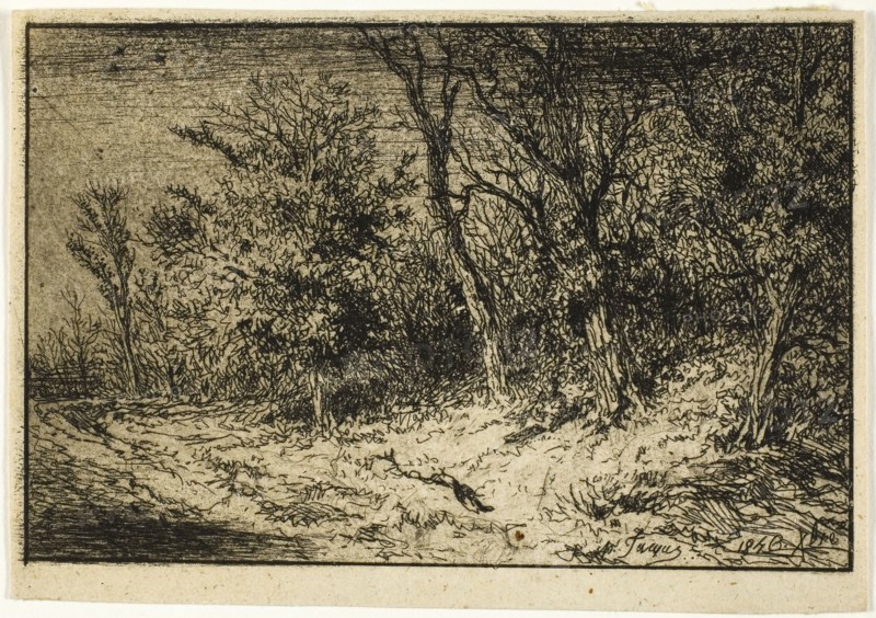 Road at the Edge of a Wood, 1846, Charles Émile Jacque, French, 1813-1894, France, Etching, drypoint and aquatint on cream chine, 75 × 114 mm (image), 83 × 119 mm (sheet)