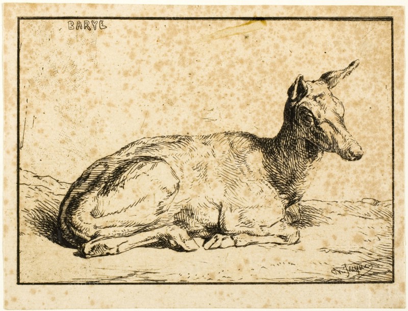 A Doe, 1846, Charles Émile Jacque (French, 1813-1894), after Antoine Louis Barye (French, 1795-1875), France, Etching on cream wove paper laid down on ivory laid paper, 84 × 119 mm (image), 96 × 127 mm (sheet), 154 × 172 mm (sheet)