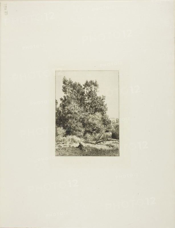 Landscape with Cowherd, c. 1865, Charles Émile Jacque, French, 1813-1894, France, Etching on ivory laid paper, 168 × 125 mm (image), 197 × 149 mm (plate), 447 × 343 mm (sheet)