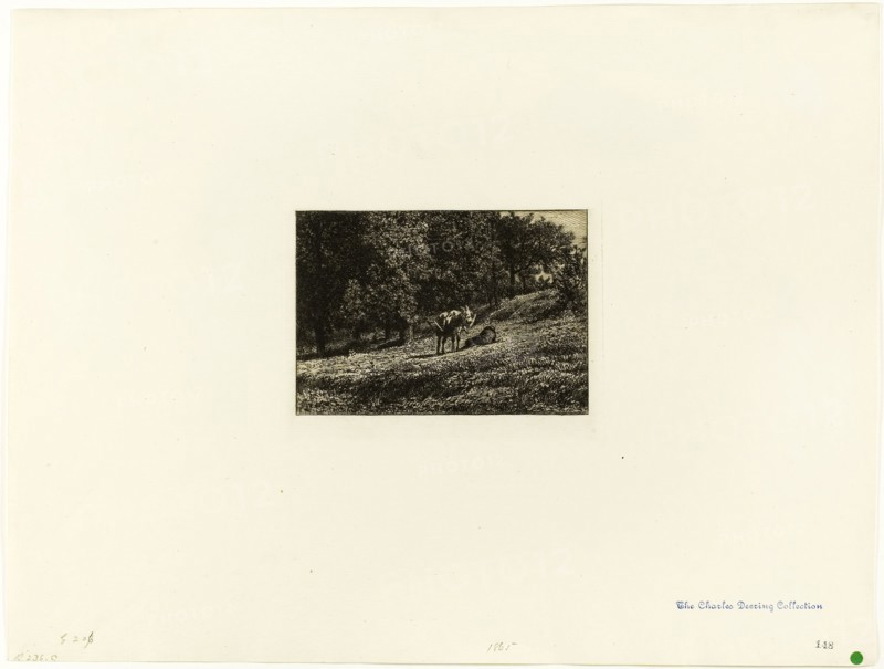 Orchard, c. 1864, Charles Émile Jacque, French, 1813-1894, France, Etching and plate tone on ivory laid paper, 105 × 150 mm (image), 130 × 166 mm (plate), 339 × 448 mm (sheet)