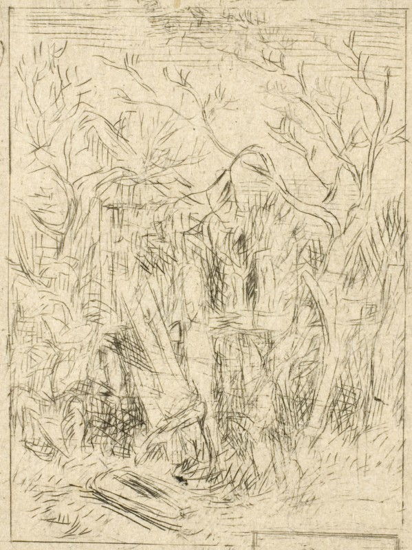 Untitled (Landscape), c. 1843, Charles Émile Jacque, French, 1813-1894, France, Drypoint and roulette on ivory wove paper, 91 × 109 mm (plate), 111 × 135 mm (sheet)
