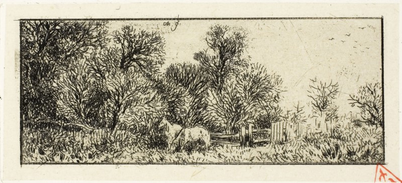 Two Horses in a Wood, 1845, Charles Émile Jacque, French, 1813-1894, France, Etching on cream China paper laid down on ivory wove paper, 42 × 104 mm (image), 51 × 114 mm (chine), 52 × 117 mm (plate), 310 × 448 mm (sheet)