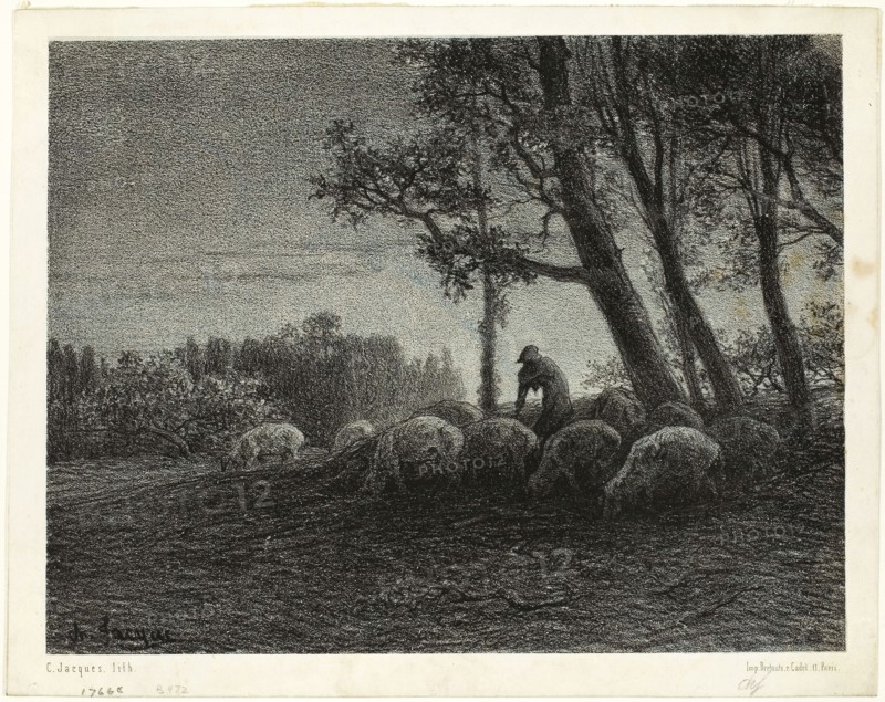 Poetic Twilight, c. 1853, Charles Émile Jacque (French, 1813-1894), printed by Bertauts (French, 19th century), France, Lithograph in black on light grey China paper laid down on ivory wove paper, 165 × 213 mm (image/chine), 184 × 232 mm (sheet)
