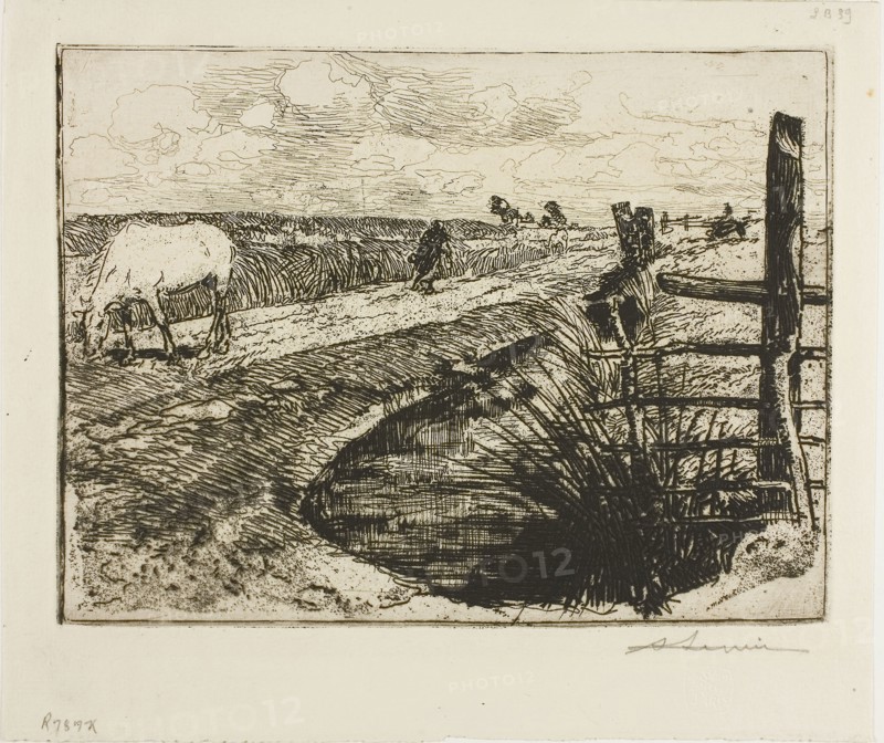 Road in the Marais, Vendée, 1892, Louis Auguste Lepère, French, 1849-1918, France, Etching from a zinc plate on cream laid paper, 148 × 199 mm (image/plate), 191 × 224 mm (sheet)
