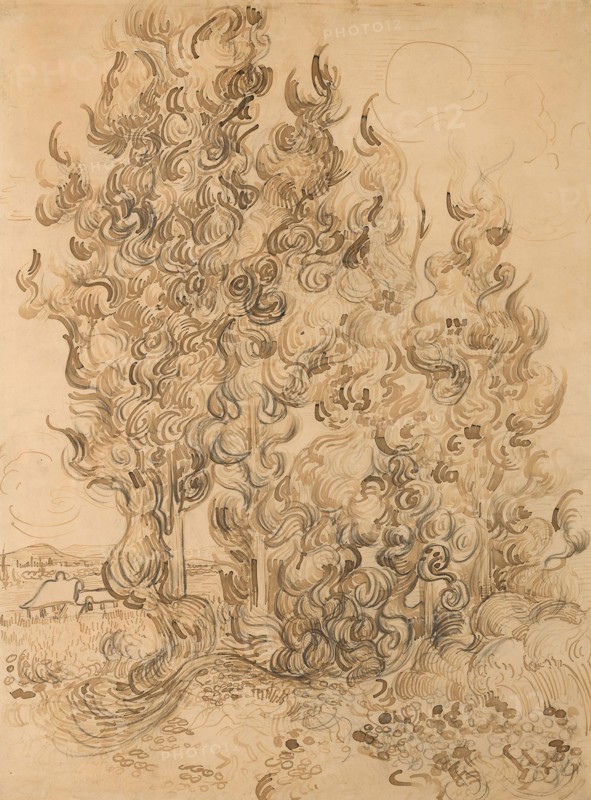 Cypresses, 1889, Vincent van Gogh, Dutch, 1853-1890, Netherlands, Pen and reed pen and brown inks, with graphite, on buff wove paper, laid down on card, 625 x 464 mm