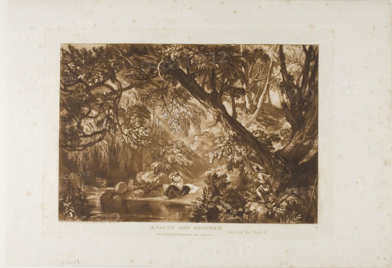 Aesacus and Hesperie, plate 66 from Liber Studiorum, published January 1, 1819, Joseph Mallord William Turner, English, 1775-1851, England, Etching and engraving in brown on ivory laid paper, 177 × 259 mm (image), 208 × 289 mm (plate), 268 × 388 mm (sheet)