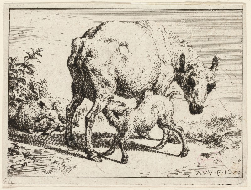 The Lamb, 1670, Adriaen van de Velde, Dutch, 1636-1672, Holland, Etching in black on ivory wove paper, 73 x 98 mm