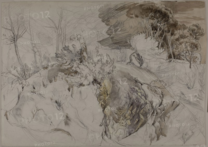 Shrubs and Trees in Rocky Landscape, c. 1845, John Ruskin, English, 1819-1900, England, Pen and brown ink, with brush and watercolor, over graphite, on ivory wove paper, 140 × 215 mm