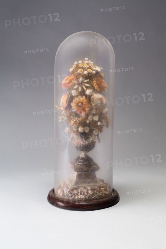 Vase of Shell Flowers, 18th century, England, Shells, 47.6 × 22.2 cm (18 3/4 × 8 3/4 in.)