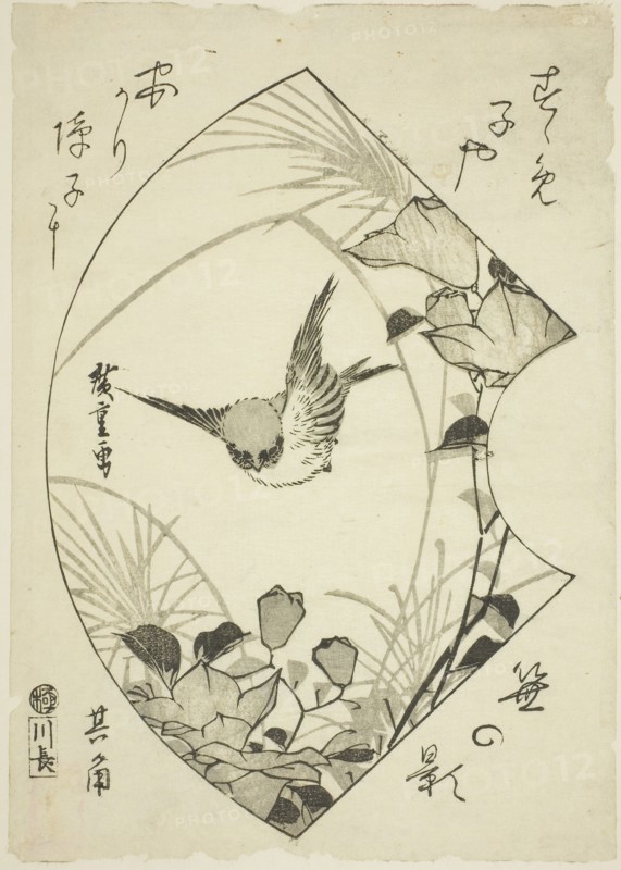 Autumn Flower and Sparrow, c. 1835, Utagawa Hiroshige ?? ??, Japanese, 1797-1858, Publisher: Kawa-Cho, Japanese, Unknown, Japan, Woodblock print, koban, 24 x 16.8 cm (9 3/8 x 6 1/2 in.)