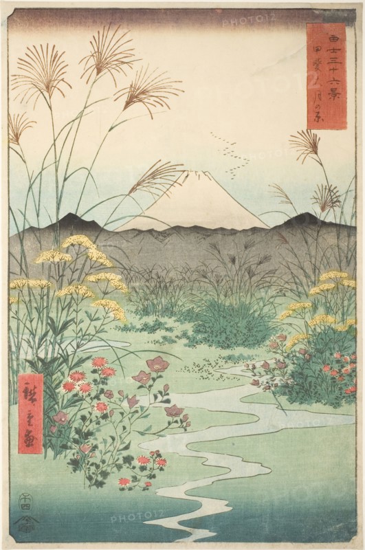 Otsuki Plain in Kai Province (Kai Otsuki no hara), from the series Thirty-six Views of Mount Fuji (Fuji sanjurokkei), 1858, Utagawa Hiroshige ?? ??, Japanese, 1797-1858, Japan, Color woodblock print, oban, 34.7 x 22.9 cm (13 11/16 x 9 in.)