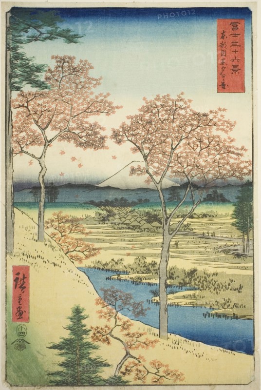 Yuhi Hill at Meguro in the Eastern Capital (Toto Meguro Yuhigaoka), from the series Thirty-six Views of Mount Fuji (Fuji sanjurokkei), 1858, Utagawa Hiroshige ?? ??, Japanese, 1797-1858, Japan, Color woodblock print, oban, 34.6 x 22.8 cm (13 5/8 x 9 in.)