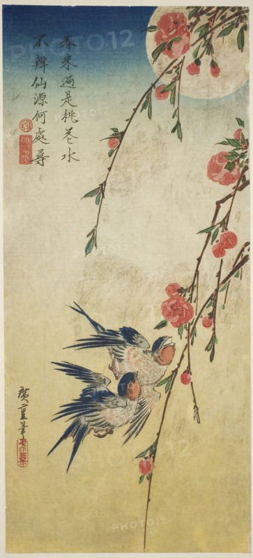 Swallows, pleach blossoms, and full moon, 1830s, Utagawa Hiroshige ?? ??, Japanese, 1797-1858, Japan, Color woodblock print, otanzaku, 37.2 x 16.7 cm (14 3/4 x 6 1/2 in.)