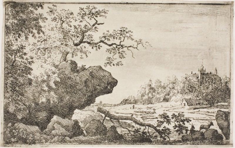 Branch of a tree, n.d., Allart van Everdingen, Dutch, 1621-1675, Holland, Etching on ivory laid paper, 99 x 156 mm (image/plate), 101 x 160 mm (sheet)