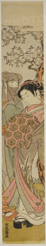 Courtesan Walking with Veiled Man under Cherry Tree, c. 1772, Isoda Koryusai, Japanese, 1735-1790, Japan, Color woodblock print, hashira-e, 26 3/4 x 4 3/4 in.