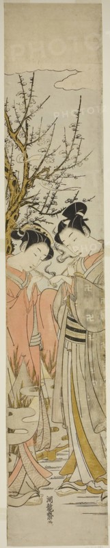Couple Lighting Pipes Under a Plum Tree, c. 1772, Isoda Koryusai, Japanese, 1735-1790, Japan, Color woodblock print, hashira-e, 27 3/4 x 5 in.