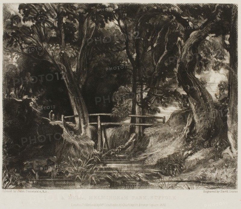 A Dell, Helmingham Park, Suffolk, 1830, David Lucas (English, 1802-1881), after John Constable (English, 1776-1837), England, Mezzotint on paper, 146 × 185 mm (image), 178 × 226 mm (plate), 295 × 440 mm (sheet)