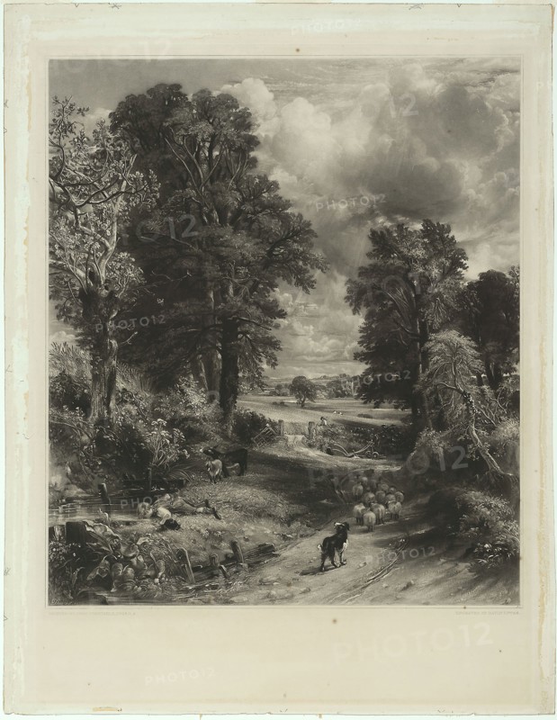 The Cornfield, 1832–34, David Lucas (English, 1802-1881), after John Constable (English, 1776-1837), England, Mezzotint on ivory wove paper, 577 × 498 mm (image), 693 × 519 mm (plate), 742 × 574 mm (sheet)