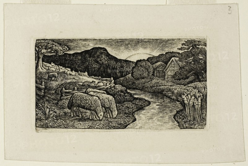The Sheep of this Pasture, n.d., Edward Calvert, English, 1799-1883, England, Engraving on paper, 41 × 78 mm (image), 43 × 80 mm (plate), 72 × 108 mm (sheet)