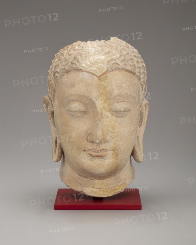 Head of Buddha, Kushan period, 3rd–5th century, Afghanistan or Pakistan, Ancient region of Gandhara, Gandhara, Stucco with traces of red pigment, 18.2 × 11.0 × 11.7 cm (7 3/16 × 4 15/16 × 4 5/8 in.)
