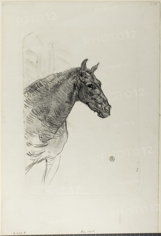 Philibert the Pony, 1898, Henri de Toulouse-Lautrec, French, 1864-1901, France, Lithograph on ivory wove paper, 357 × 260 mm (image), 530 × 360 mm (sheet)