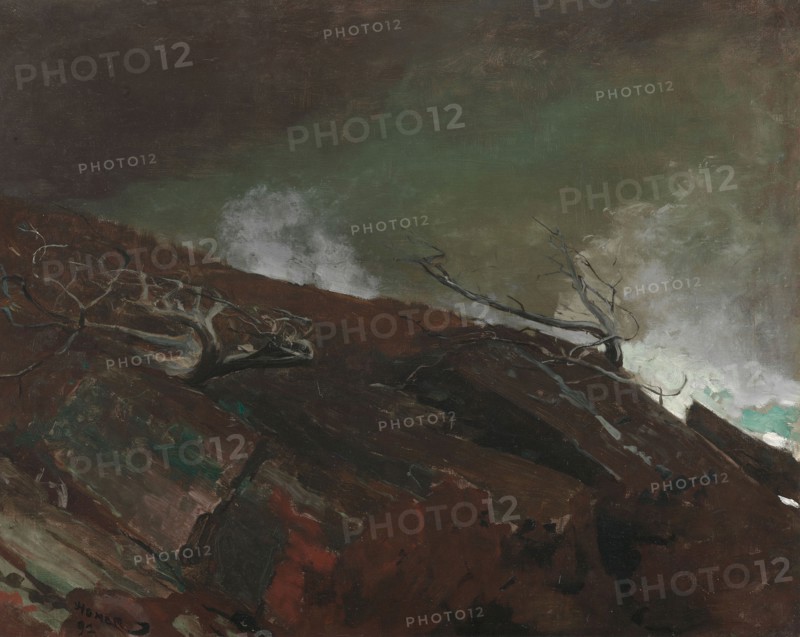 Coast of Maine, 1893, Winslow Homer, American, 1836–1910, United States, Oil on canvas, 61 × 76.2 cm (24 × 30 in.)