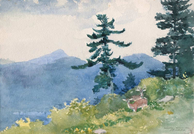 North Woods Club, Adirondacks (The Interrupted Tete-a-Tete), 1892, Winslow Homer, American, 1836-1910, United States, Watercolor, with rewetting, blotting and scraping, over graphite, on thick, moderately textured, ivory wove paper, 380 x 545 mm