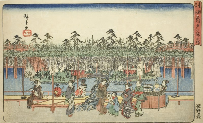 Wisteria at Kameido (Kameido Tenjin fuji hana), from the series Famous Places in the Eastern Capital (Toto meisho), c. 1839/42, Utagawa Hiroshige ?? ??, Japanese, 1797-1858, Japan, Color woodblock print, oban, 22.4 x 37.2 cm (8 13/16 x 14 5/8 in.)