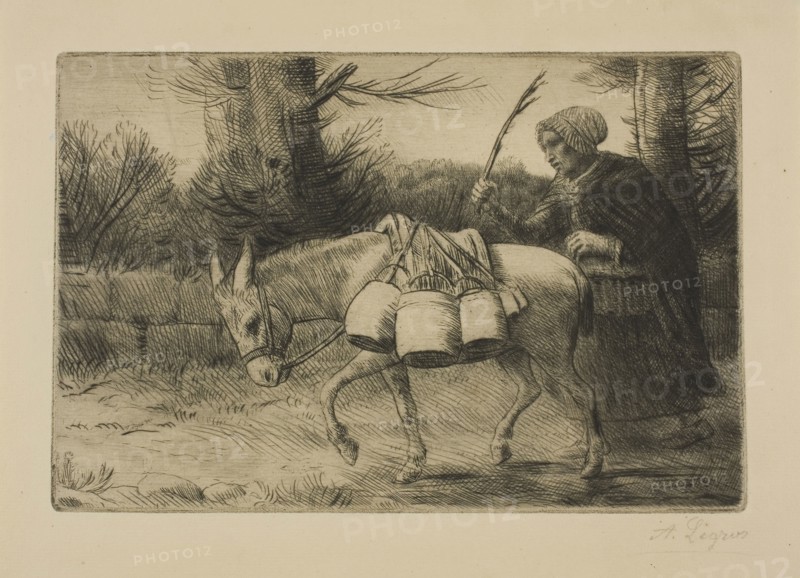 Milkmaid, c. 1880, Alphonse Legros, French, 1837-1911, France, Etching and drypoint on buff laid paper, 149 × 223 mm (image/plate), 200 × 263 mm (sheet)