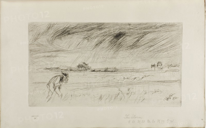 The Storm, 1861, James McNeill Whistler, American, 1834-1903, United States, Drypoint, with drypoint cancellation lines, in black ink on ivory laid paper, 159 x 286 mm (plate), 239 x 380 mm (sheet, sight, bound)
