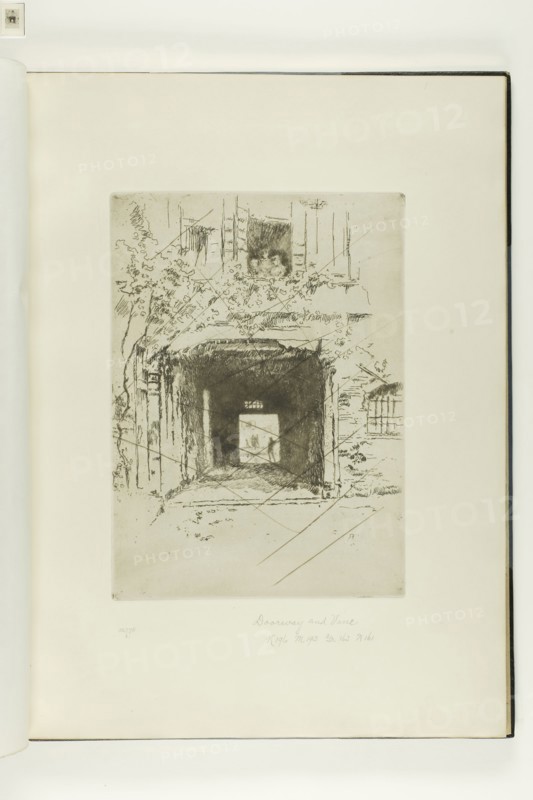 Doorway and Vine, 1879–80, James McNeill Whistler, American, 1834-1903, United States, Etching and drypoint with foul biting, with drypoint cancellation, in dark brown ink on ivory laid paper, 232 x 168 mm (plate), 380 x 275 mm (sheet, sight, bound)