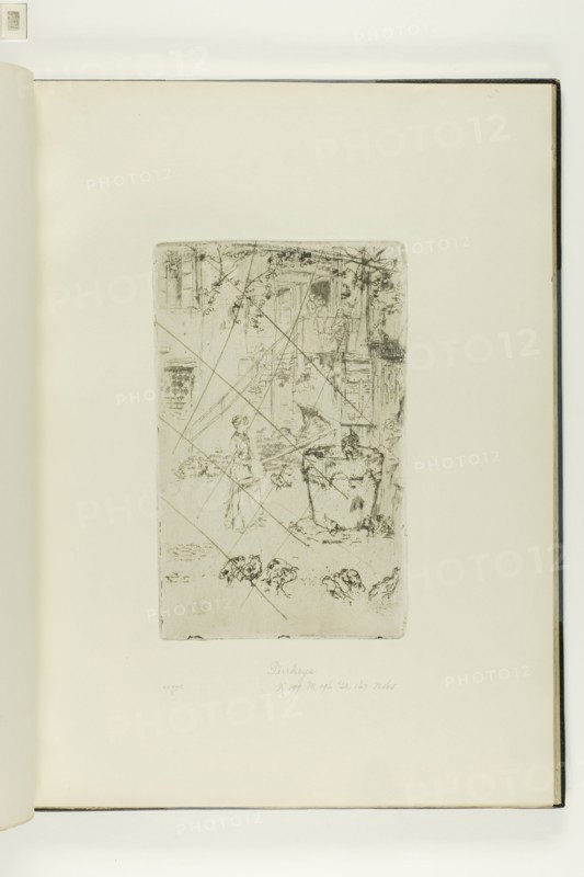 Turkeys, 1880, James McNeill Whistler, American, 1834-1903, United States, Etching and drypoint with foul biting, with drypoint cancellation, in black ink on ivory laid paper, 208 x 133 mm (plate), 378 x 275 mm (sheet, sight, bound)