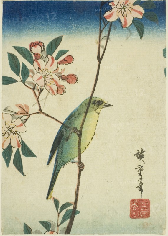 Japanese white-eye on flowering branch, 1830s–1840s, Utagawa Hiroshige ?? ??, Japanese, 1797-1858, Japan, Color woodblock print, yotsugiriban, 17.5 x 12.3 cm (7 x 4 3/4 in.)