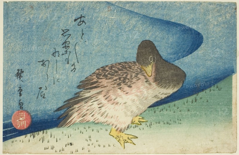 Goose on riverbank, c. 1833/34, Utagawa Hiroshige ?? ??, Japanese, 1797-1858, Japan, Color woodblock print, koban, 12.5 x 19.1 cm (5 x 7 1/4 in.)