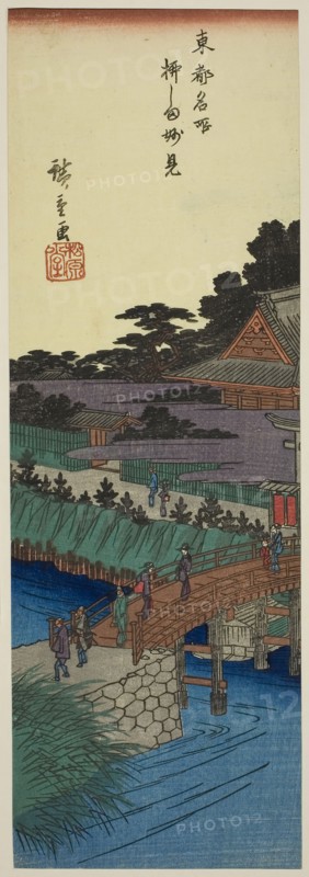 Myoken Temple in Yanagishima (Yanagishima Myoken), from the series Famous Places in the Eastern Capital (Toto meisho), c. 1837/38, Utagawa Hiroshige ?? ??, Japanese, 1797-1858, Japan, Color woodblock print, chutanzaku, 14 1/2 x 5 in.